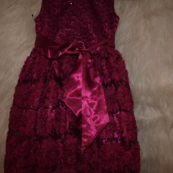 Girl's DRESS Pink With Sparkly Flower Detail SIZE 6 BY SPECIAL EDITIONS USEDONCE - Picture 4 of 5